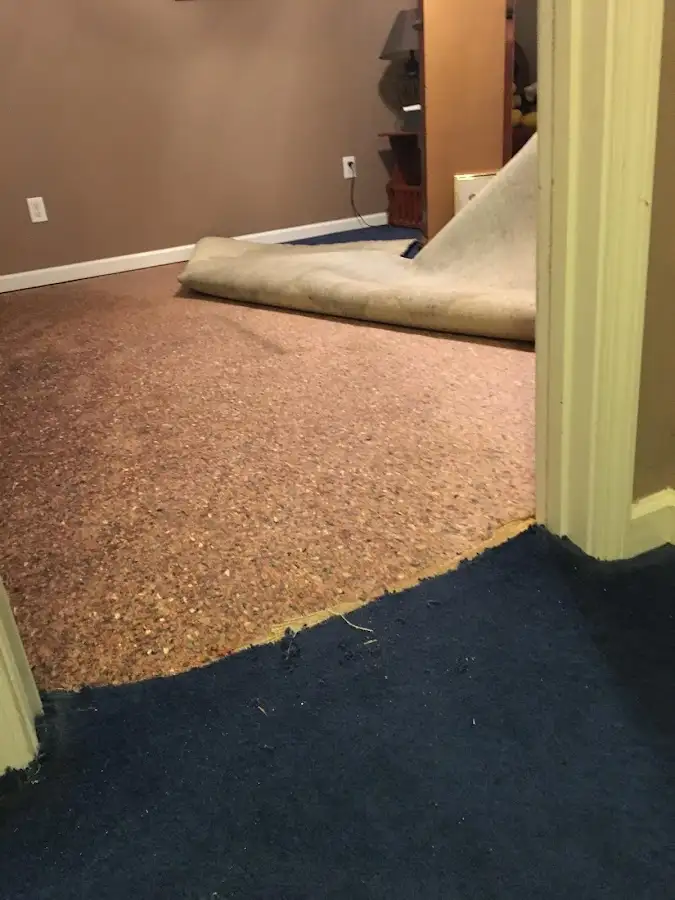 Carpet pad removal revealing water damage during Water Mitigation Services in London