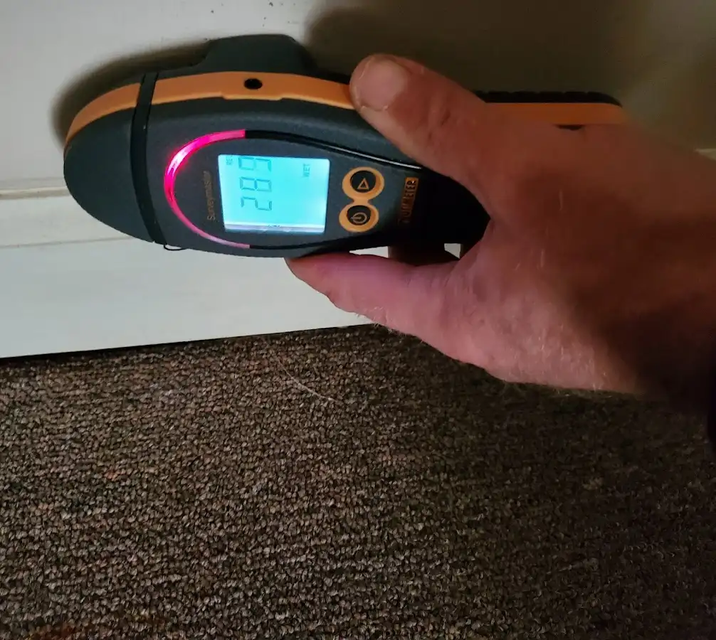 Moisture detection at baseboard during Sewage Cleanup & Sanitation in London